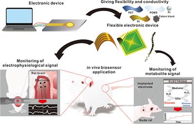 Flexible Electronics for Monitoring in vivo Electrophysiology and Metabolite Signals